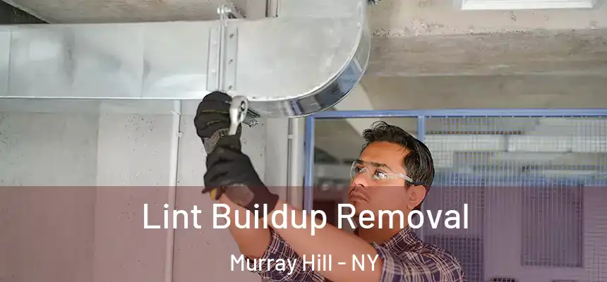  Lint Buildup Removal Murray Hill - NY