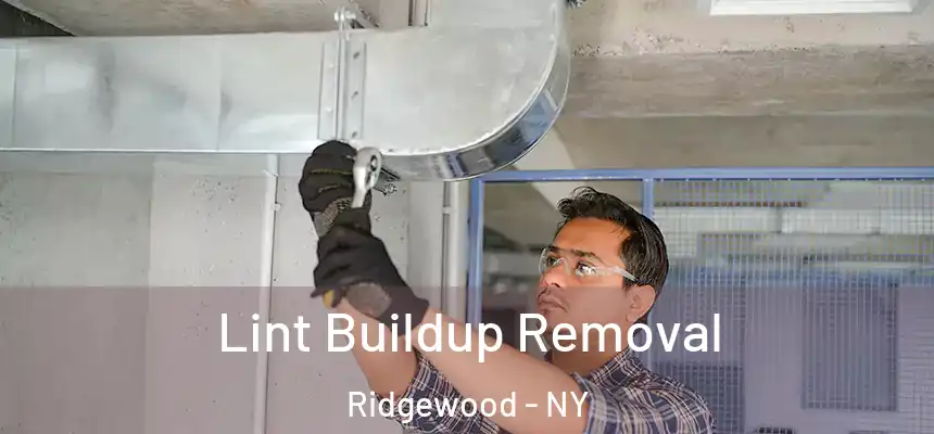  Lint Buildup Removal Ridgewood - NY