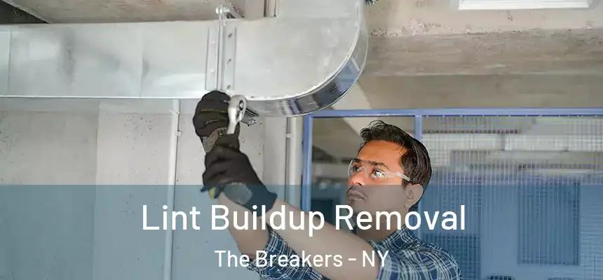  Lint Buildup Removal The Breakers - NY