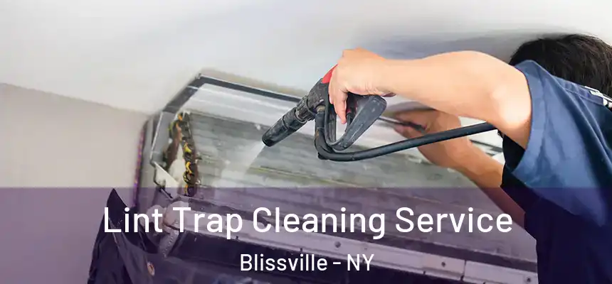 Lint Trap Cleaning Service Blissville - NY