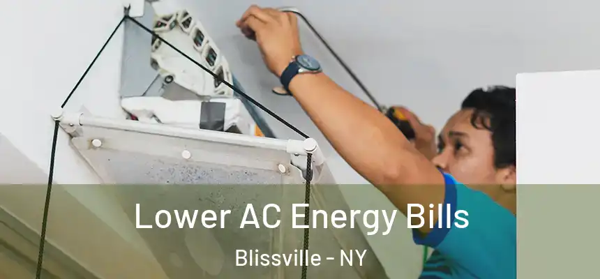 Lower AC Energy Bills Blissville - NY