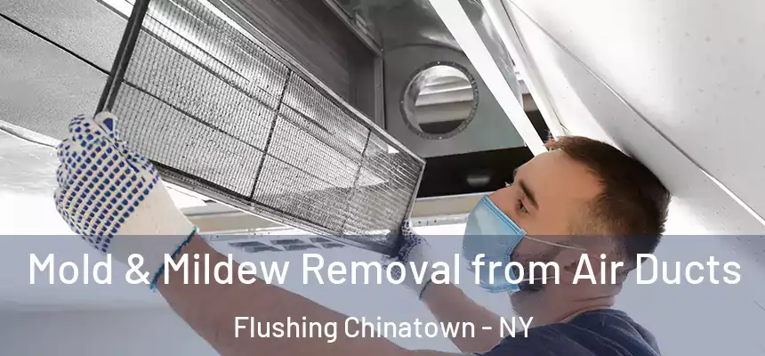 Mold & Mildew Removal from Air Ducts Flushing Chinatown - NY