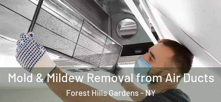  Mold & Mildew Removal from Air Ducts Forest Hills Gardens - NY