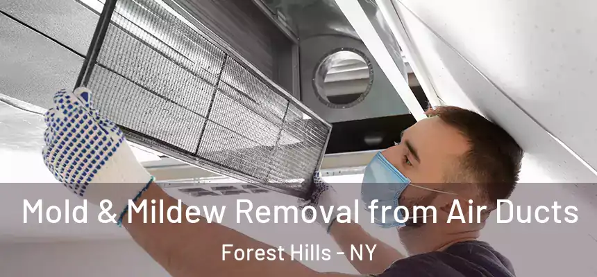  Mold & Mildew Removal from Air Ducts Forest Hills - NY