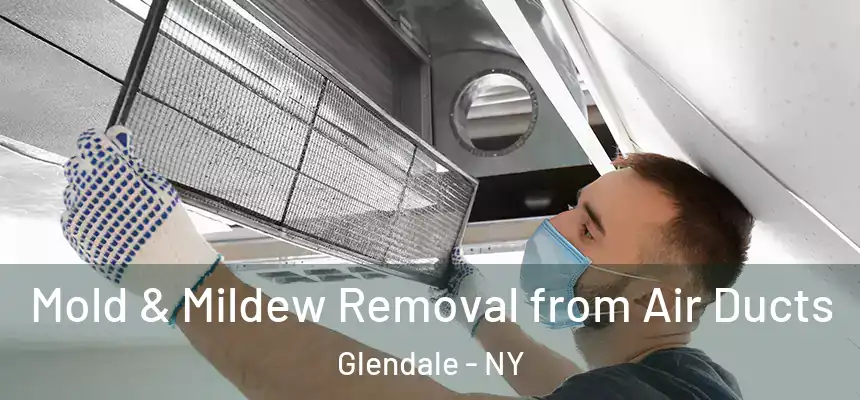 Mold & Mildew Removal from Air Ducts Glendale - NY
