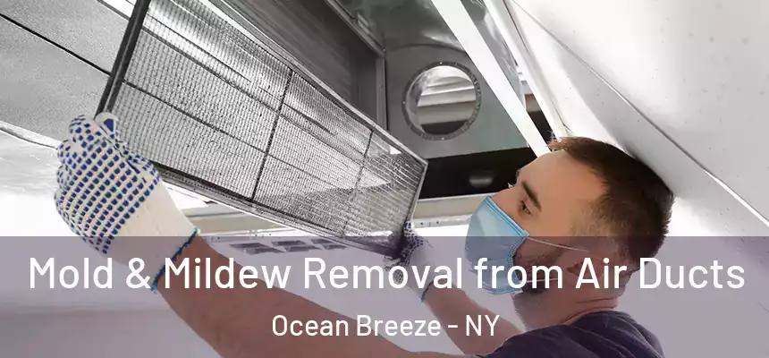  Mold & Mildew Removal from Air Ducts Ocean Breeze - NY