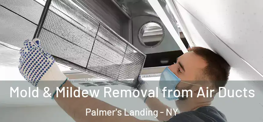 Mold & Mildew Removal from Air Ducts Palmer's Landing - NY