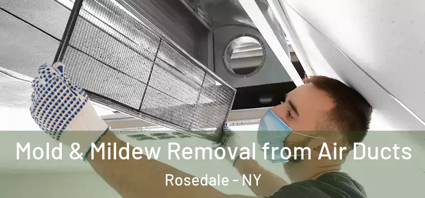 Mold & Mildew Removal from Air Ducts Rosedale - NY