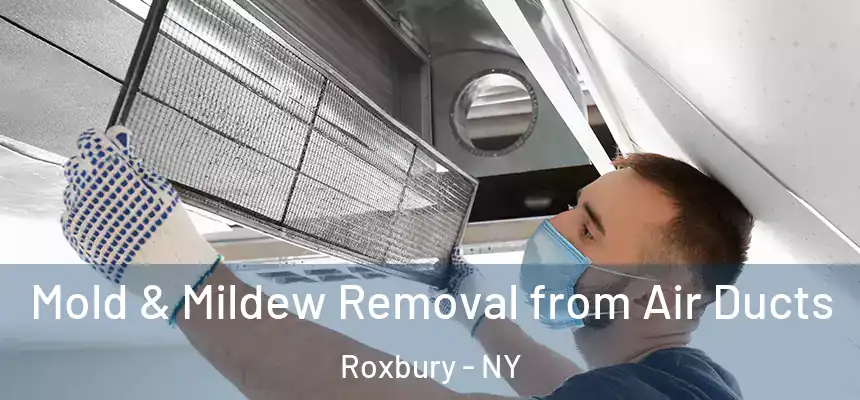 Mold & Mildew Removal from Air Ducts Roxbury - NY