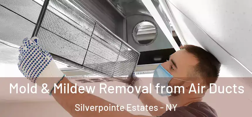  Mold & Mildew Removal from Air Ducts Silverpointe Estates - NY
