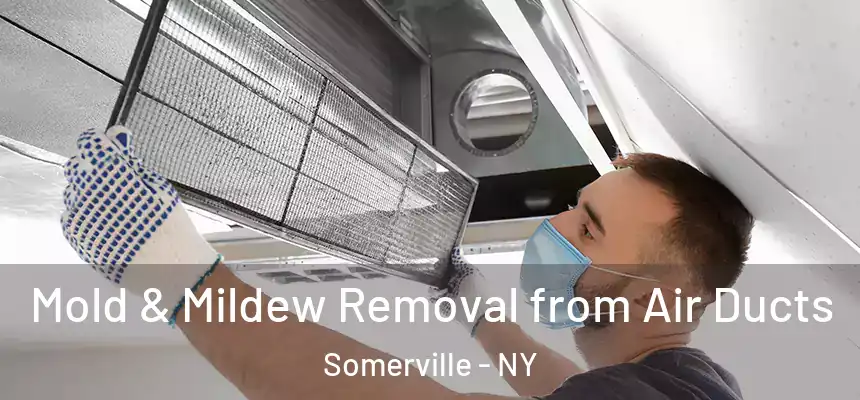 Mold & Mildew Removal from Air Ducts Somerville - NY