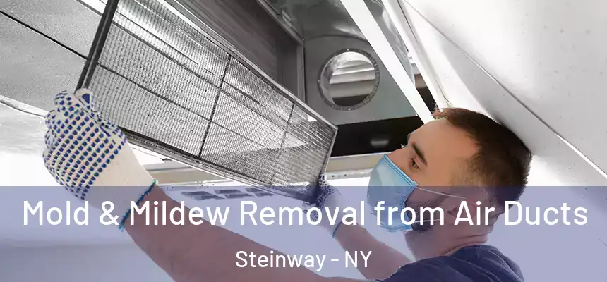  Mold & Mildew Removal from Air Ducts Steinway - NY