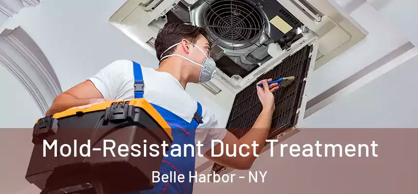  Mold-Resistant Duct Treatment Belle Harbor - NY