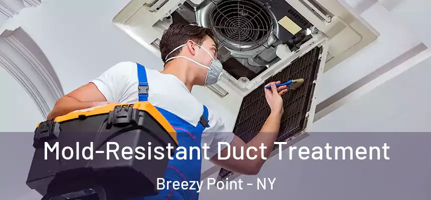 Mold-Resistant Duct Treatment Breezy Point - NY