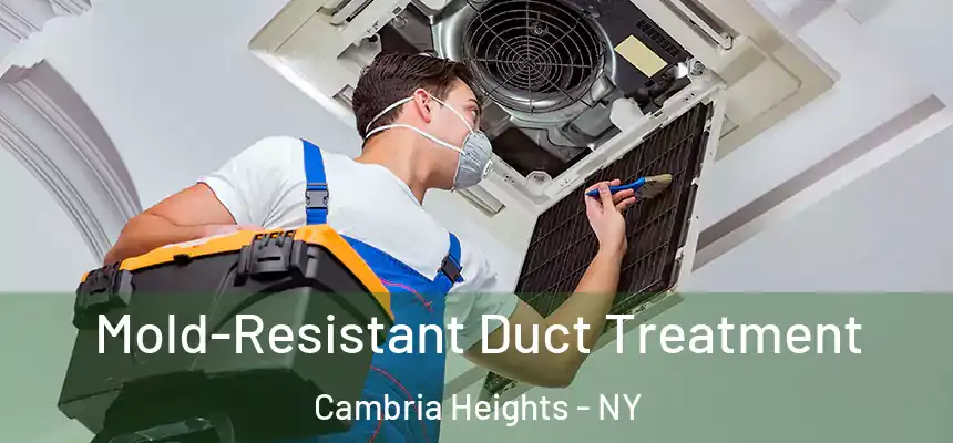 Mold-Resistant Duct Treatment Cambria Heights - NY