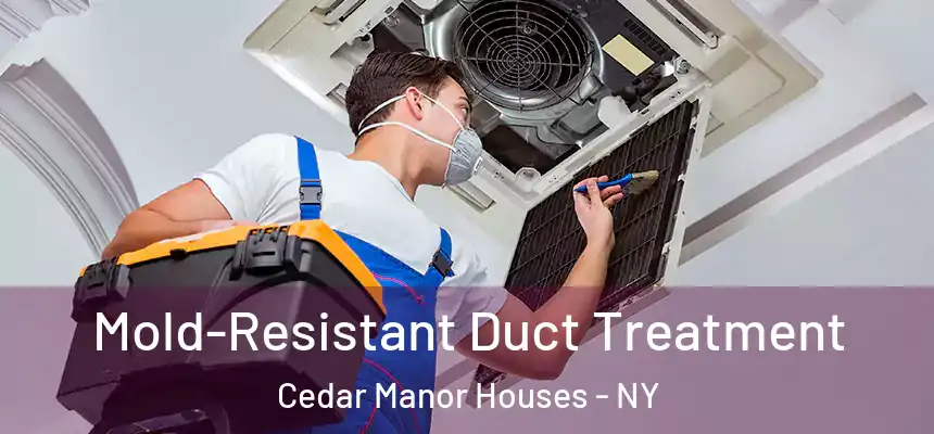  Mold-Resistant Duct Treatment Cedar Manor Houses - NY