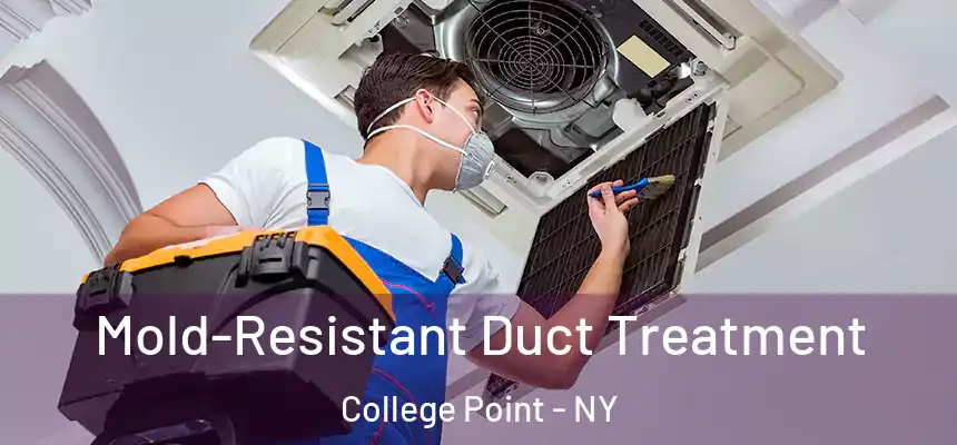  Mold-Resistant Duct Treatment College Point - NY