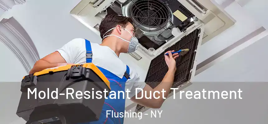  Mold-Resistant Duct Treatment Flushing - NY