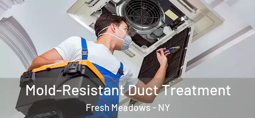 Mold-Resistant Duct Treatment Fresh Meadows - NY