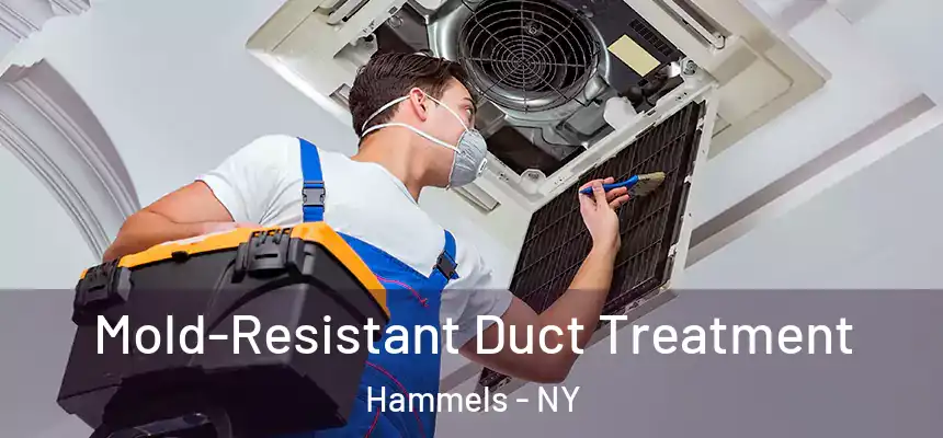  Mold-Resistant Duct Treatment Hammels - NY