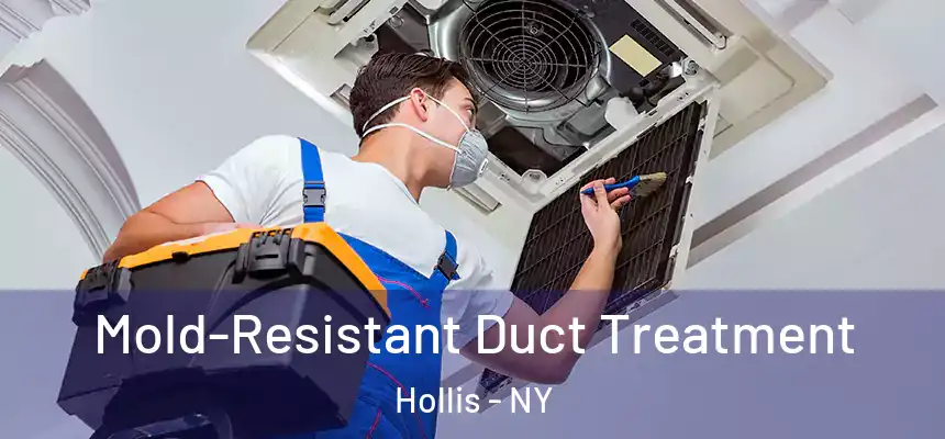 Mold-Resistant Duct Treatment Hollis - NY