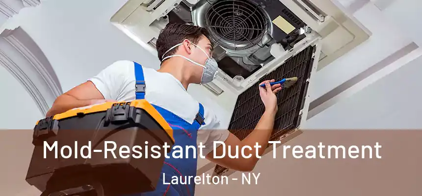  Mold-Resistant Duct Treatment Laurelton - NY