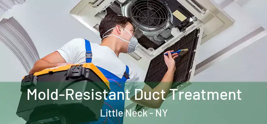  Mold-Resistant Duct Treatment Little Neck - NY