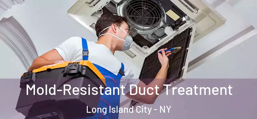 Mold-Resistant Duct Treatment Long Island City - NY