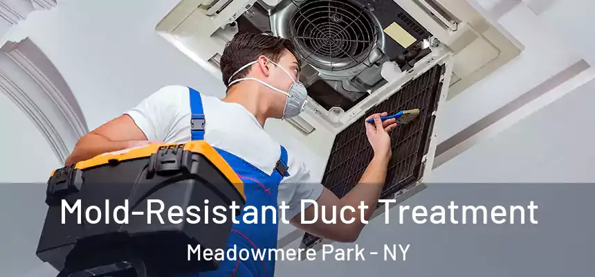  Mold-Resistant Duct Treatment Meadowmere Park - NY