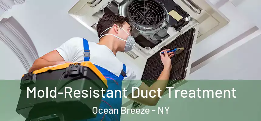  Mold-Resistant Duct Treatment Ocean Breeze - NY