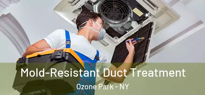  Mold-Resistant Duct Treatment Ozone Park - NY