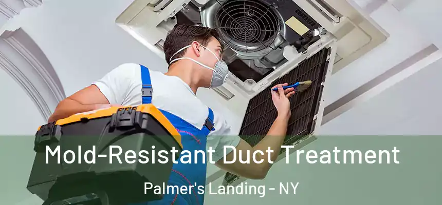  Mold-Resistant Duct Treatment Palmer's Landing - NY