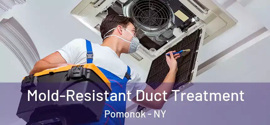 Mold-Resistant Duct Treatment Pomonok - NY