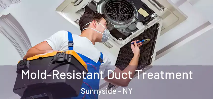  Mold-Resistant Duct Treatment Sunnyside - NY