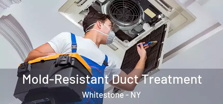  Mold-Resistant Duct Treatment Whitestone - NY