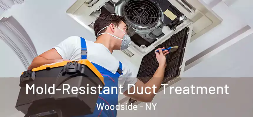 Mold-Resistant Duct Treatment Woodside - NY