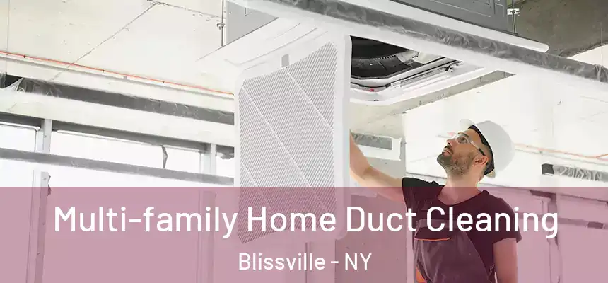  Multi-family Home Duct Cleaning Blissville - NY
