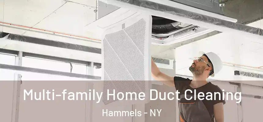  Multi-family Home Duct Cleaning Hammels - NY