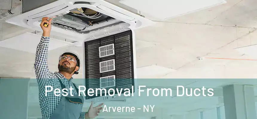 Pest Removal From Ducts Arverne - NY