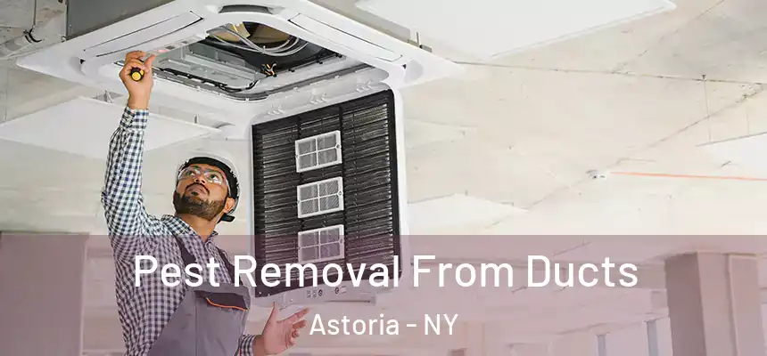 Pest Removal From Ducts Astoria - NY