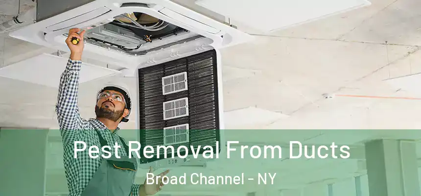  Pest Removal From Ducts Broad Channel - NY