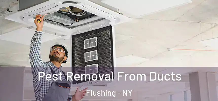  Pest Removal From Ducts Flushing - NY