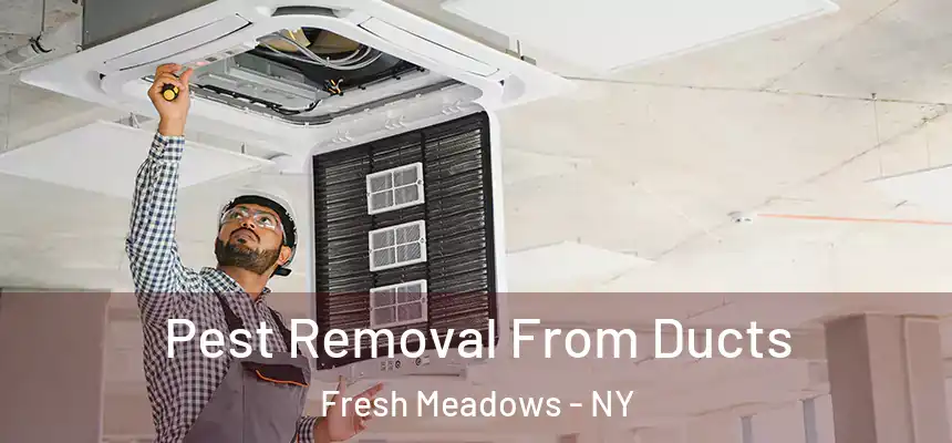 Pest Removal From Ducts Fresh Meadows - NY