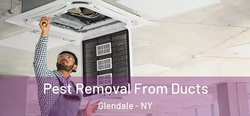  Pest Removal From Ducts Glendale - NY