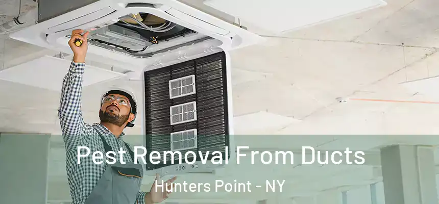 Pest Removal From Ducts Hunters Point - NY