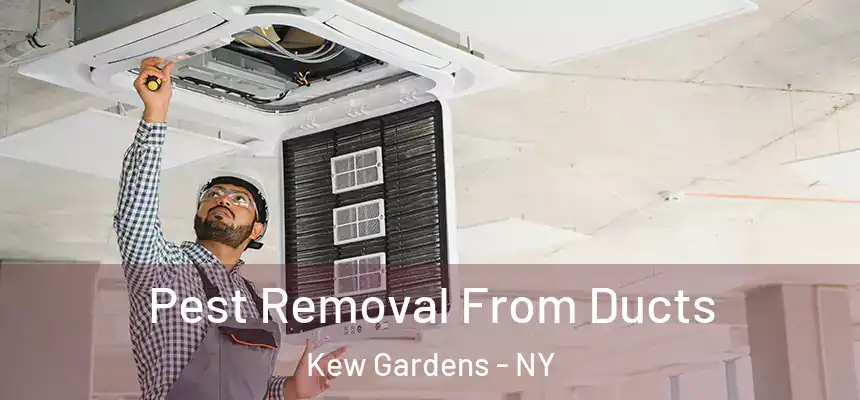  Pest Removal From Ducts Kew Gardens - NY