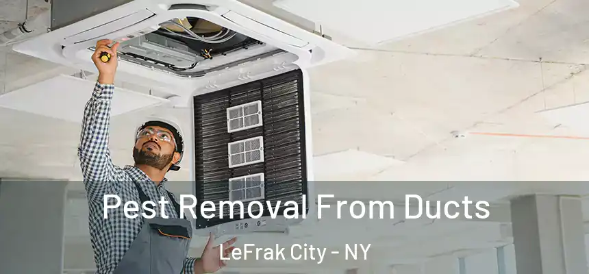  Pest Removal From Ducts LeFrak City - NY