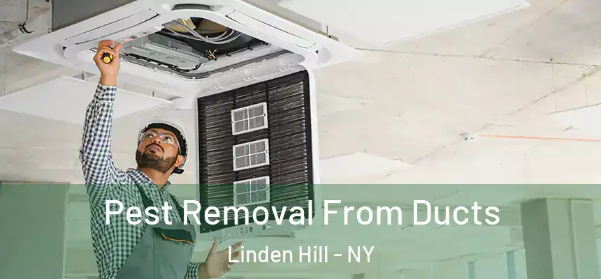 Pest Removal From Ducts Linden Hill - NY