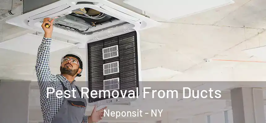  Pest Removal From Ducts Neponsit - NY