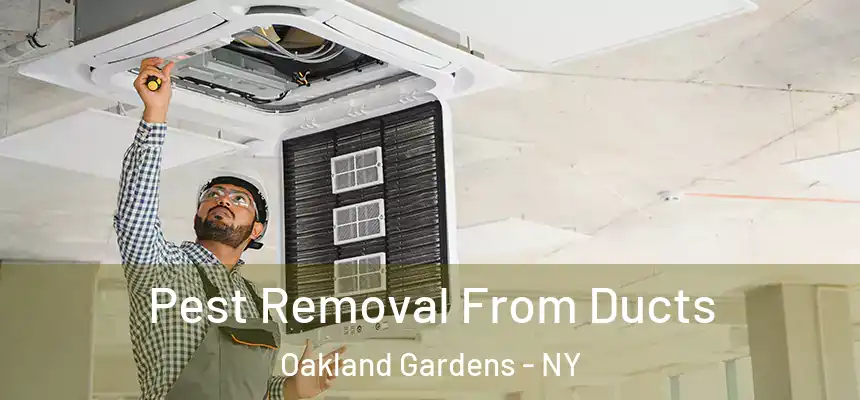  Pest Removal From Ducts Oakland Gardens - NY
